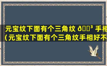 元宝纹下面有个三角纹 🐳 手相（元宝纹下面有个三角纹手相好不好）